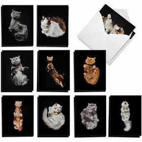 The Best Card Company 20 Assorted Funny Blank Notecards Box Set 4 x 5.12 Inch with Envelopes (10 Designs, 2 Each) Maude Antics AM8594OCB-B2x10