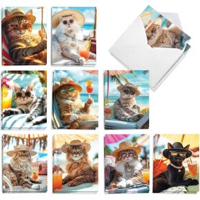 The Best Card Company 20 Assorted Funny Blank Notecards Box Set 4 x 5.12 Inch with Envelopes (10 Designs, 2 Each) Maude Antics AM8594OCB-B2x10 in Kuwait