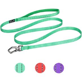 EXCELLENT ELITE SPANKER Nylon Dog Leash Basic Style 5 Feet Long 1/2" Wide Rope for Small Pets Dogs and Cats Walking(Green)