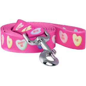 Native Pup Valentine's Day Dog Leash (Valentine's Candy Hearts)