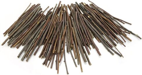 TKOnline 10cm 0.1-0.2 Inch in Diameter Wood Log Sticks for DIY Crafts Photo Props Craft Sticks,Wood Crafts,Sticks inch (100) in Saudi Arabia