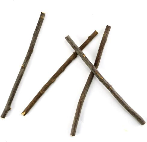 TKOnline 10cm 0.1-0.2 Inch in Diameter Wood Log Sticks for DIY Crafts Photo Props Craft Sticks,Wood Crafts,Sticks inch (100) in Saudi Arabia
