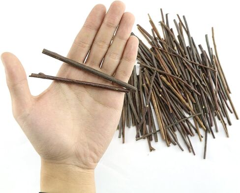 TKOnline 10cm 0.1-0.2 Inch in Diameter Wood Log Sticks for DIY Crafts Photo Props Craft Sticks,Wood Crafts,Sticks inch (100) in Saudi Arabia