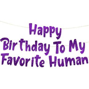 Happy Birthday To My Favorite Human - Funny Birthday Gold Glitter Banner – Birthday Party Supplies, Ideas, Gifts and Decorations