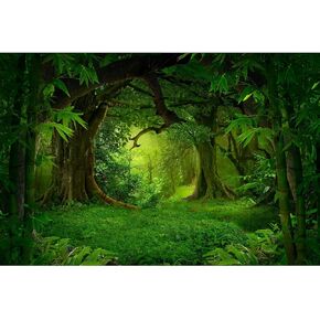 Tropical Jungle Aquarium Background Foggy Rainforest Terrarium Background Huge Trees with Moss Reptile Habitat Background Tank Backdrop Wallpaper Decor Vinyl 24x16in
