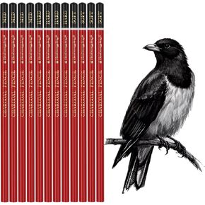Heshengping Professional Charcoal Pencils Drawing Set -12 Pieces Soft, Medium Hard Charcoal Pencils for Drawing Sketching Shading Artist Pencils for Beginners Artists