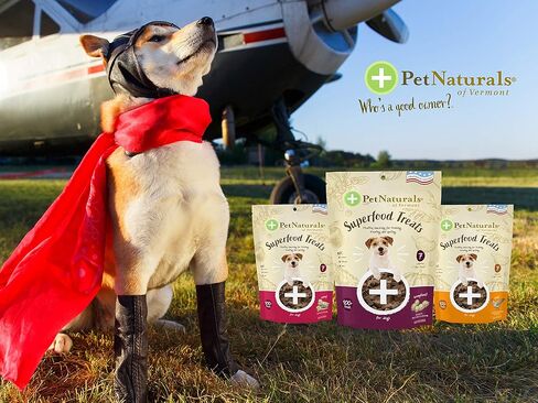 يعامل كلب Pet Naturals Superfood مع التوت الأزرق واللفت - لا الذرة ، القمح أو المكونات الاصطناعية - نكهة لحم الخنزير المقدد ، 100 مضغ (حزمة 1) in Kuwait