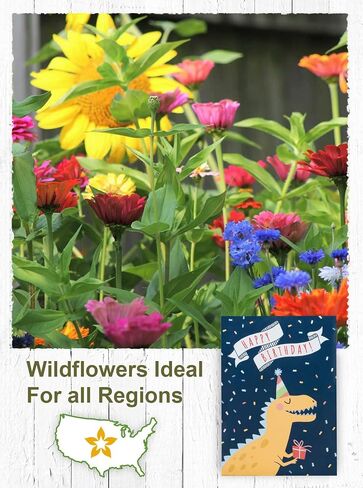 American Meadows Wildflower Seed Packets Fairy Garden Party Favors for Guests (Pack of 20) - Wildflower Seed Mix, Plant Year-Round, Great Gift for Hostesses, Showers, Weddings, Thank You in Saudi Arabia