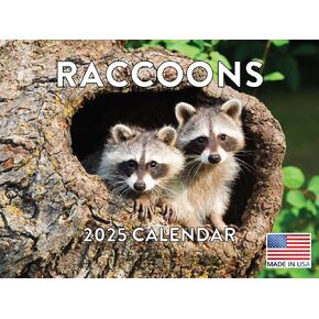 Raccoon Calendar 2025 Monthly Wall Calender 12 Month | American Made In The USA