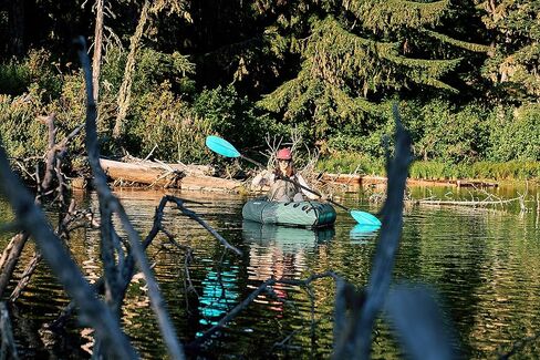 AQUAGLIDE Universal Crux Kayak Packable 4-Piece Spring Pin Joints مجداف كربون من الألياف الزجاجية، شفرة نايلون معززة قوية لصيد الأسماك والتجديف iSUP مناسبة للعائلة 240 سم in Kuwait