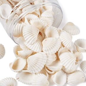 Pandahall 117pcs/Box Natural Clam Shell Pendants Mini Ocean Seashell Charms Beads with Hole for Bracelet Necklace Jewelry Making Supplies Hole: 1.5-1.6mm