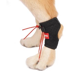 Dog Canine Knuckling Brace Front Paw Rear Leg Dog Foot Brace Wrap for Toe Dragging Cause by Sciatic Nerve Insufficiency, Myelopathy, Herniated Disc