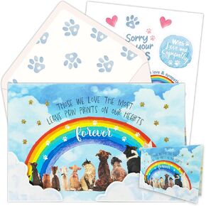 Decorably 8x5in Individual Rainbow Bridge Card Set with Cloud Cutouts and Glittery Paw Prints, Pet Sympathy Card for Loss of Pet Dog Set with Envelope and Stickers, with Printed Message Inside