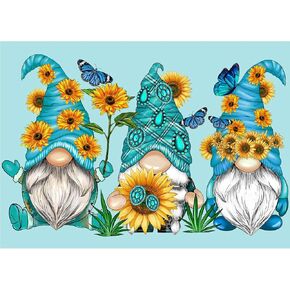 NEWENMO Rose Diamonds Painting Kits for Adults Beginner,DIY 5D Flowers Diamond Art Paint with Round Diamonds, Full Drill Sunset Diamonds Painting Kit for Hobby Gift Home Wall Decor 12x16 in