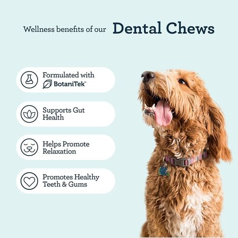 Kradle Dental Chews for Dogs - Daily Dental & Oral Health Support for Dogs - with Probiotics, Ashwagandha, Chamomile & Magnolia Bark – Fresh Breath & Clean Teeth – 75-Count Jar (75-Count Jar, 2-Pack) in Saudi Arabia