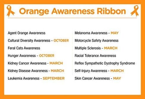 Orange Charms in Ribbon, Heart, and Round Shape for Kidney Cancer, Leukemia, Multiple Sclerosis, Hunger, Gun Violence, and Mass Shooting Awareness - Perfect Jewelry Making, Bracelets, Necklaces, DIY Projects, Support Groups, Fundraisers, and More! in Saudi Arabia