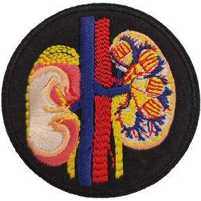 Cute-Patch Anatomical Kidney Embroidered Iron on Patch Internal Medicine Doctor Gift Puck Goth Gothic Decor