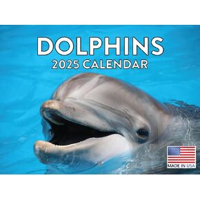 Dolphin Calendar 2025 Monthly Wall Calender 12 Month | American Made In The USA