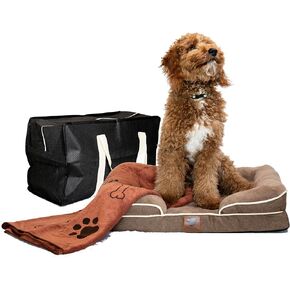 Kit ortopedic Bed Dog brow Medium in Saudi Arabia