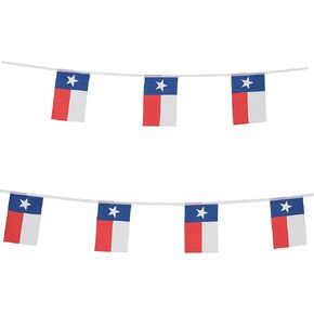 TSMD Texas State Flag Banner ، 100 قدم صغيرة صغيرة Texas TX Lone Star Pennant Banner Banner String ، مستلزمات زخارف الحفلات للحانة ، الحدث الرياضي المدرسي ، الاحتفال بالمهرجان الدولي