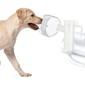 Canine Nebulizer Cup and Inhaler Mask for Cats and Dogs, Oxygen Mask for Pets (Not Including Nebulizer Machine) (M)