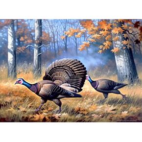 Kaliosy 5D Diamond Art Painting Kits for Adult Pheasant Bird by Number Kits, Paint with Diamonds Art Animal DIY Full Drill, Crystal Craft Cross Stitch Embroidery Decoration (12x16inch) 30x40cm