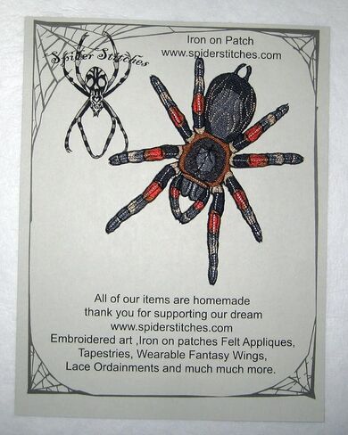 مكسيكي ريد الركبة الرتيرة Brachypelma smithii الحديد العنكبوت على رقعة زين in Kuwait