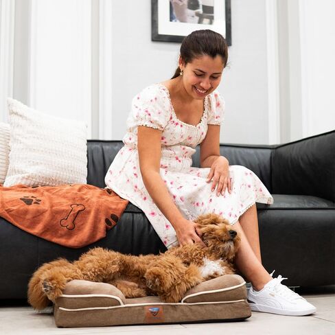 Kit ortopedic Bed Dog brow Medium in Saudi Arabia