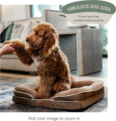 Kit ortopedic Bed Dog brow Medium in Saudi Arabia