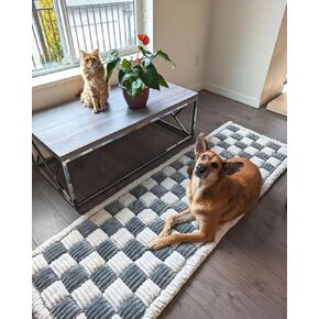 Cattasaurus Pet Couch Cover, Washable Sofa Protector for Cats & Dogs, Pet-Friendly Couch Mat for Cats & Dogs Up to 120lbs (Large, Blue Grey)