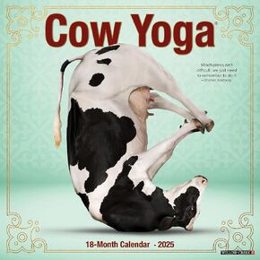 Willow Creek Press Cow Yoga Monthly 2025 Wall Calendar (12" x 12")