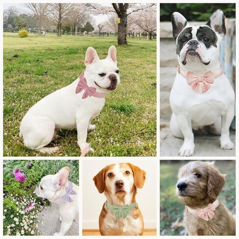 Bowtie Dog Collar Adjustable Soft Collars with Detachable Bow Tie and Metal Buckle for Small Medium Large Dogs,Lilac,Small in Saudi Arabia