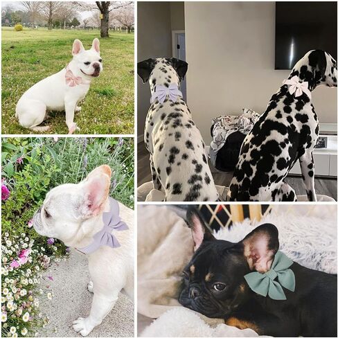 Bowtie Dog Collar Adjustable Soft Collars with Detachable Bow Tie and Metal Buckle for Small Medium Large Dogs,Lilac,Small in Saudi Arabia
