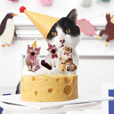 TSJ Cat Happy Birthday Banner, Cat Faces Banner, Cat Bunting Garland for Kitty Theme Birthday Party Baby Shower in Kuwait