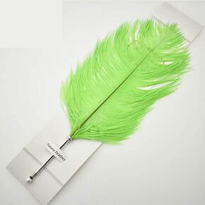 Beautiful Ostrich Feather Ballpoint Pen-Writing Quill Pen Wedding Reception Pen Set (Wine Red)