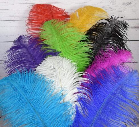 Beautiful Ostrich Feather Ballpoint Pen-Writing Quill Pen Wedding Reception Pen Set (Wine Red) in Kuwait