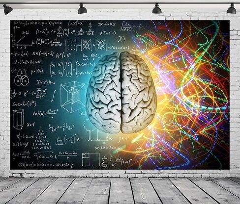 CORFOTO 7x5ft Fabric Hand Drawn Math Formulas on Chalkboard Backdrop Math Theme Human Brain Medicine Blackboard Background for Education Techer Students Portraits School Party Decor Banner in Kuwait