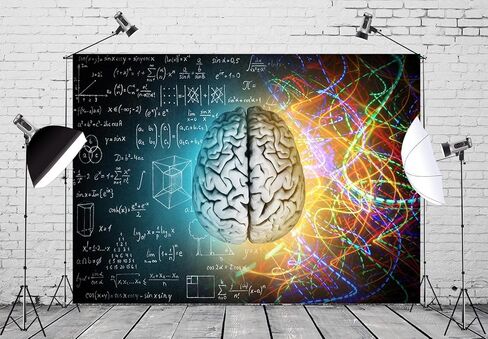 CORFOTO 7x5ft Fabric Hand Drawn Math Formulas on Chalkboard Backdrop Math Theme Human Brain Medicine Blackboard Background for Education Techer Students Portraits School Party Decor Banner in Kuwait