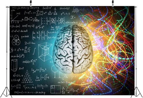 CORFOTO 7x5ft Fabric Hand Drawn Math Formulas on Chalkboard Backdrop Math Theme Human Brain Medicine Blackboard Background for Education Techer Students Portraits School Party Decor Banner in Kuwait