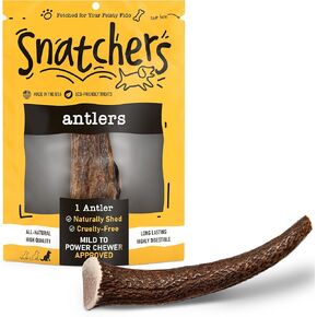 Snatchers Elk Antlers for Dogs – Long Lasting Dog Chews and Dog Toys for Aggressive Chewers, Naturally Shed Deer Antlers for Dogs Processed in The USA, No Additives (Small 4-5", 1 Count)