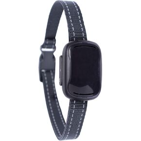 GoodBoy Small Remote Dog Training Collar GB808V Extra Replacement Receiver
