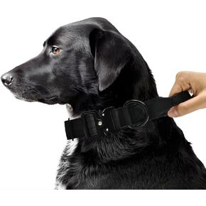 Huali Tactical Dog Collar -Premium Quality Adjustable Heavy Duty Dog Coallr- Thick and Durable Dog Collar with Quick-Release Metal Buckle (L, Rainbow)