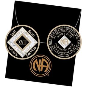 18 Year Black and Silver Glitter NA Medallion Official Narcotics Anonymous Chip