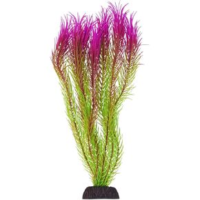 Underwater Treasures Mayaca - Pink Tip