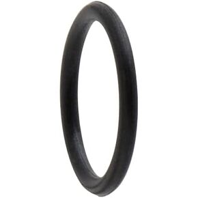Iwata Packing Head O-Ring