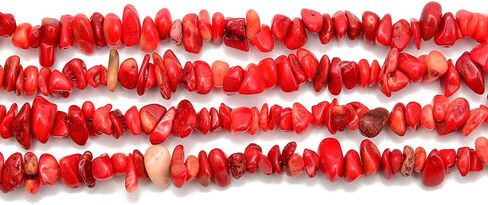 PLTbeads 5-8mm Natral Healing Gemstone Waist Bracelets Necklace Kit Irregular Stone DIY Crafts Design Jewelry Making 1 Strand per Bag Approxi 34 inch (Red Coral Chips) in Saudi Arabia