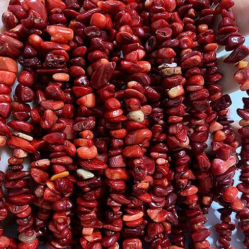 PLTbeads 5-8mm Natral Healing Gemstone Waist Bracelets Necklace Kit Irregular Stone DIY Crafts Design Jewelry Making 1 Strand per Bag Approxi 34 inch (Red Coral Chips) in Saudi Arabia