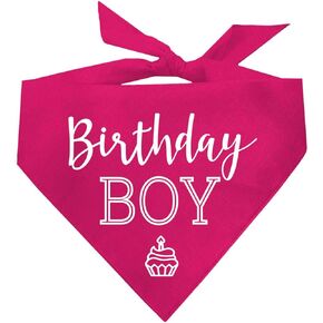 Birthday Boy with Cupcake Dog Pawdy (Party) Celebration Dog Bandana (Green, OS 214)
