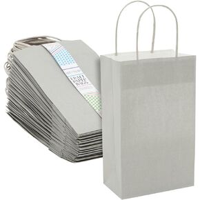 BLUE PANDA 25-Pack Gray Gift Bags with Handles, 5.5x3.2x9-Inch Paper Goodie Bags for Party Favors and Treats, Birthday Party Supplies