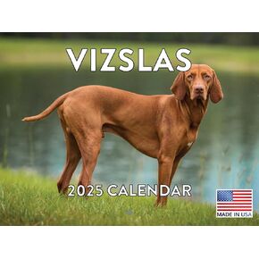 Vizsla Calendar 2025 Monthly Wall Calander 12 Month | American Made In The USA